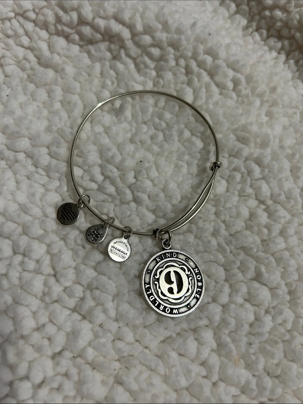 Alex and Ani Silver-Tone 'Kind Noble Worldly' Charm Bangle